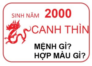 canh-thin-nam-2000-menh-gi