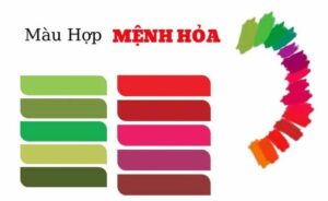 menh-hoa-hop-mau-gi