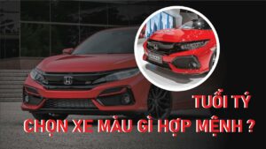 Tuổi Tý nên mua xe màu gi