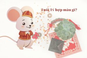 Người tuổi Tý hợp với màu sắc gì