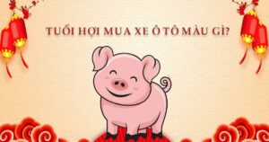 Tuổi Hợi mua xe màu gì