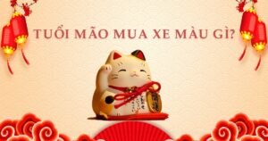 Tuổi Mão mua xe màu gì