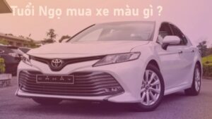 tuoi-ngo-mua-xe-mau-gi3