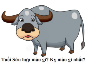 Người tuổi Sửu hợp màu gì