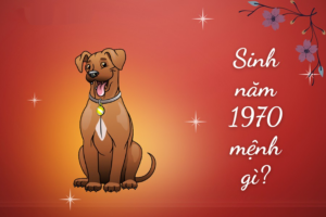 Tuổi Canh Tuất 1970 là mệnh gì